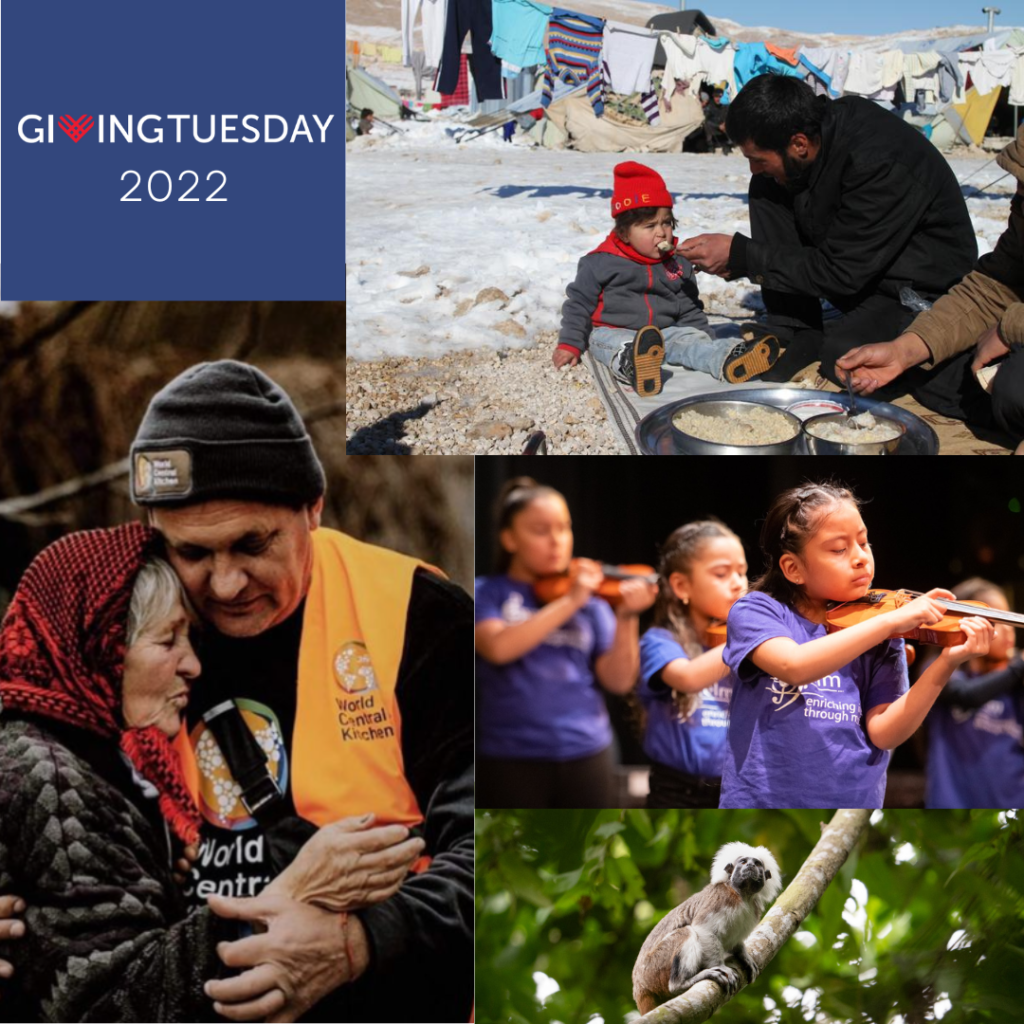 Giving Tuesday 2022 Collage